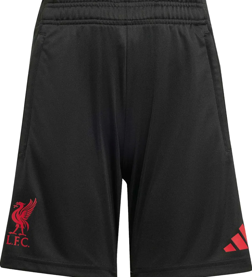 adidas Performance Shorts - Liverpool - Sort