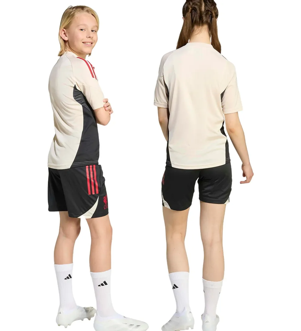adidas Performance Shorts - Liverpool - Sort