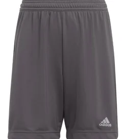adidas Performance Shorts - Entrada 22 - Grå