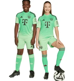 adidas Performance Shorts - FC bayern München 25/26 Målmand - Gl