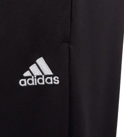 adidas Performance Træningsbukser - ENT22 TR PNT Y