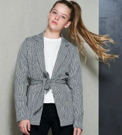 Hound Blazer - Checks