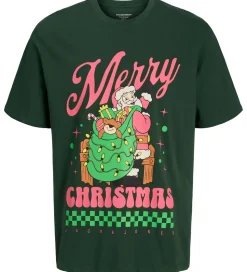 Jack & Jones T-shirt - JorHoliday Cartoon - Sycamore