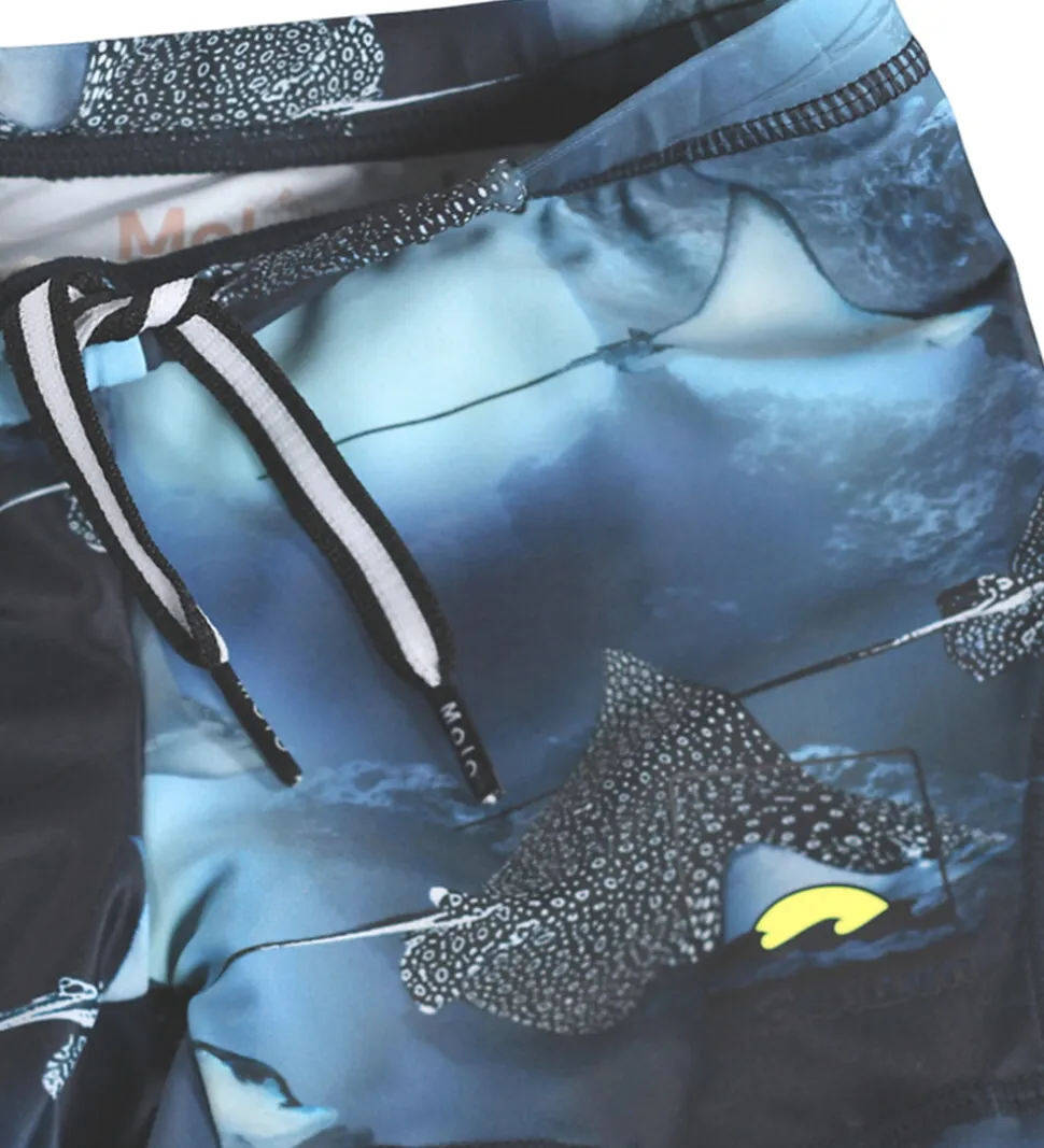 Molo Badebukser - UV50+ - Norton - Into The Blue