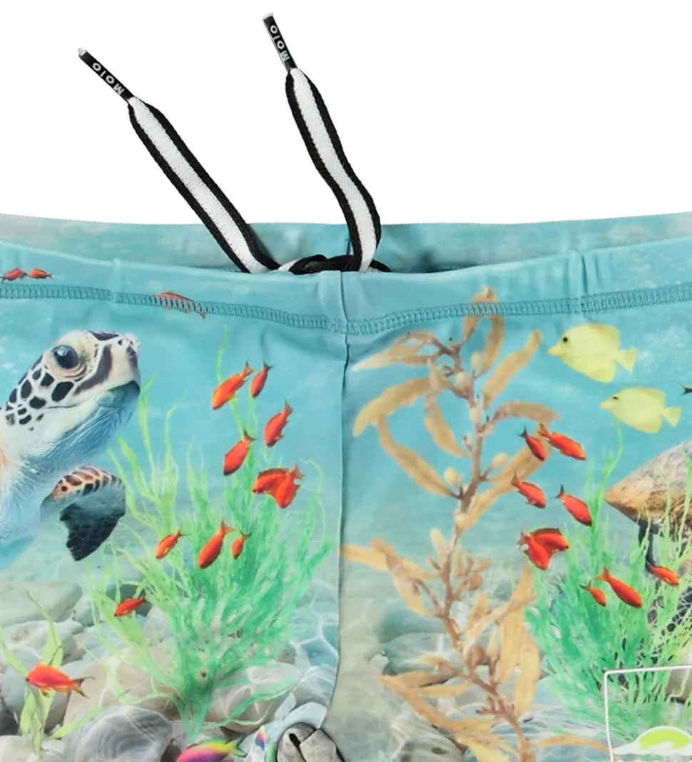 Molo Badebukser - UV50+ - Norton Placed - Happy Ocean