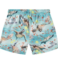 Molo Badeshorts - UV50+ - Niko - Marine Turtles