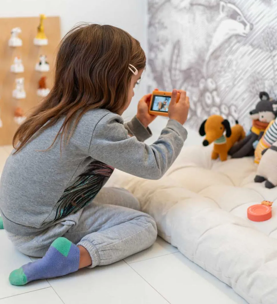 The Zoofamily Kamera - Urban Zoo - Ræv