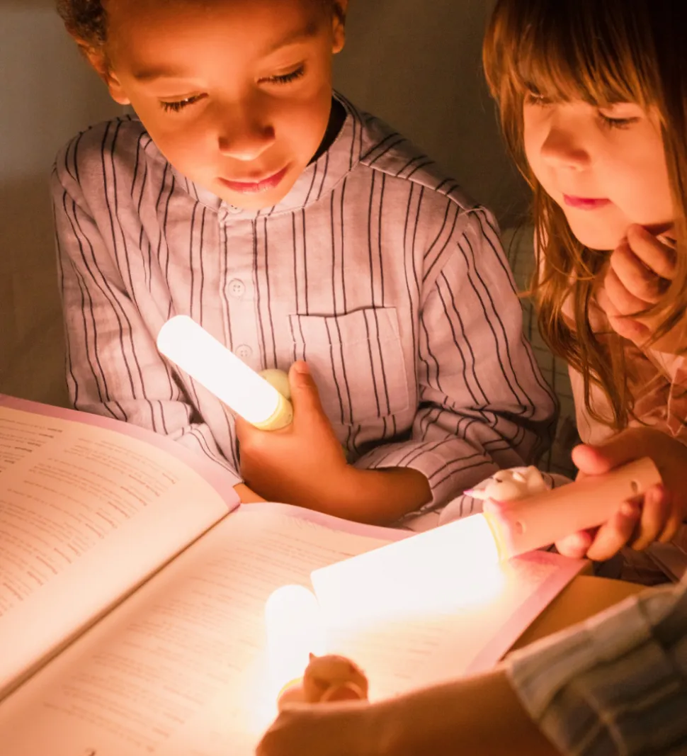 The Zoofamily Lampe - - 3-i-1 - Grøn m. Dino