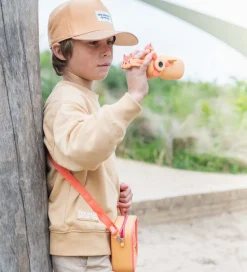 The Zoofamily Videokamera - Zoo Video - Ræv