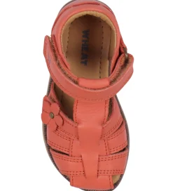 Wheat Sandaler - Sky - Coral